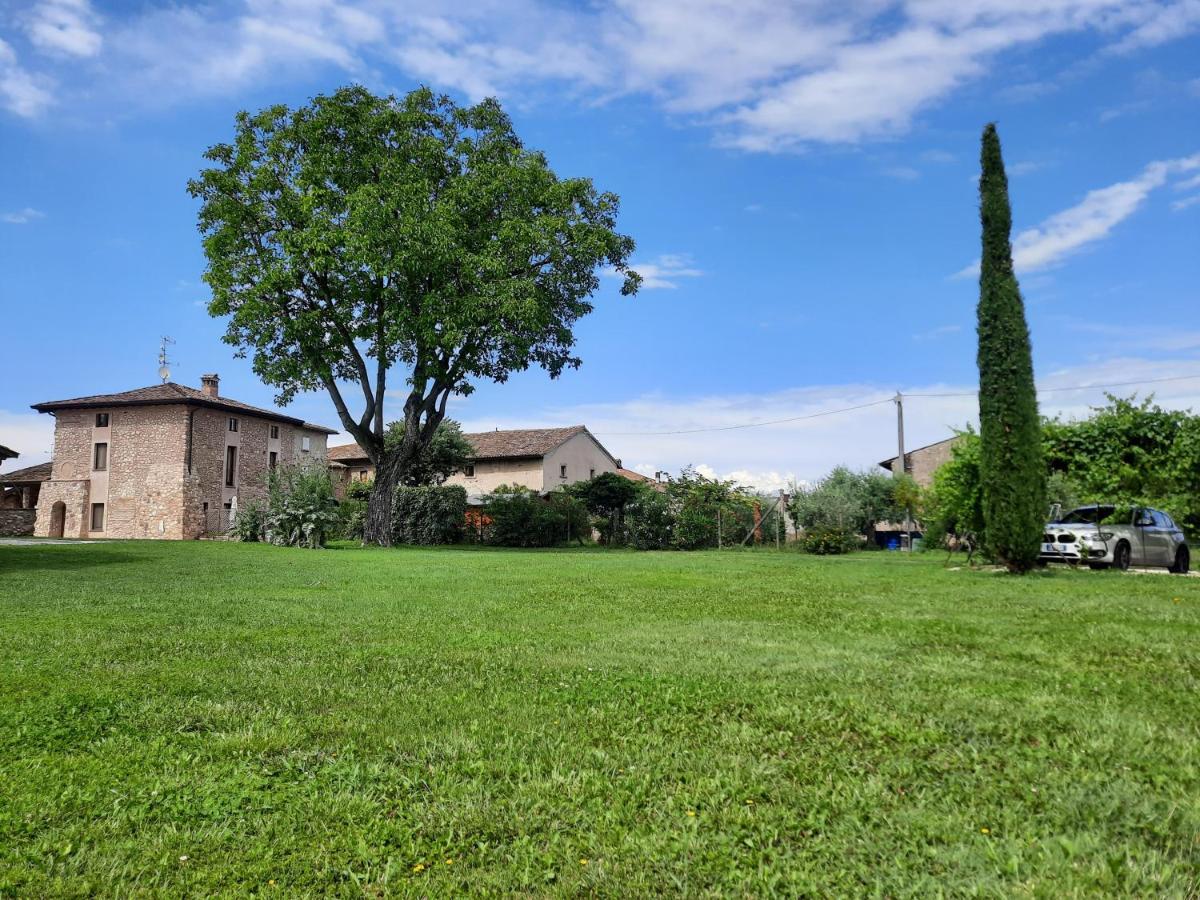 Corte Davini Agriturismo Monzambano Extérieur photo