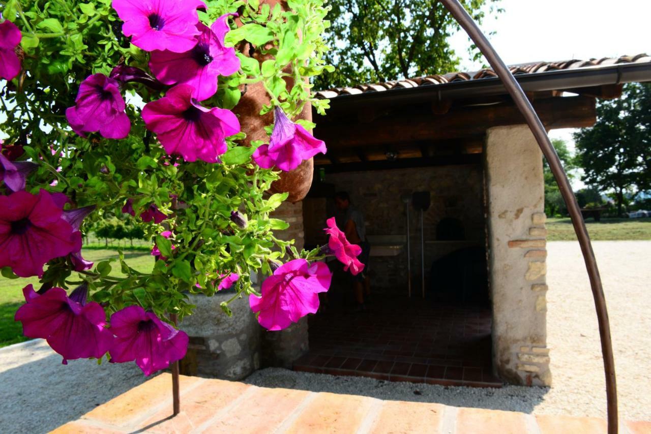 Corte Davini Agriturismo Monzambano Extérieur photo