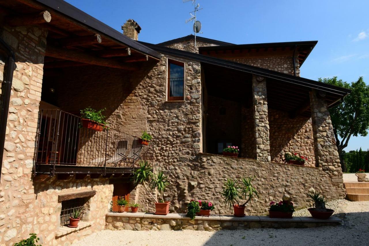 Corte Davini Agriturismo Monzambano Extérieur photo